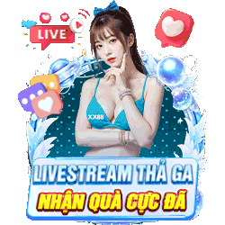 Live Nhận Code